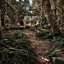 Cabin In The Woods Schone Orte Schonste Orte Der Welt Orte