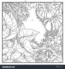 Black And White Line Drawing Background Jungle With Lianas Black Contour Line Drawing For Coloring On A White Background Jungle Drawing Jungle Coloring Pages Line Drawing