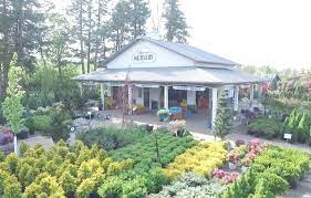 Discover our huge online selection of plants. Bison Nursery Wholesale Inc Home Facebook