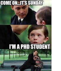 Assignment Help Student Memes Phd Student Student