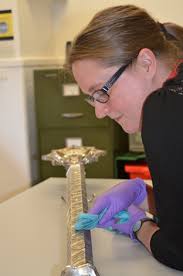 From Edgbaston to Standen: The University Mace