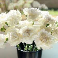 Buy Fancy White Wedding Carnations At Wholesale Price Online Wedding Flowers Carnation Wedding White Carnation