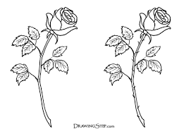 how to draw roses pencil drawing of a rose rose drawing simple rose sketch rose tattoos