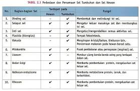 Akan tetapi, sel hewan dan tumbuhan memiliki beberapa perbedaan dan persamaan. Biologi It S My Life Persamaan Dan Perbedaan Sel Tumbuhan Dan Sel Hewan
