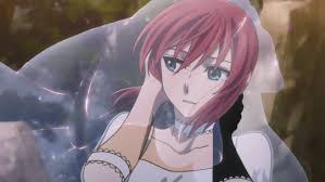 Animated Gif About Cute In The Ancient Magus Bride By Naho Ancient Magus Bride Anime Wedding Anime