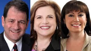 Ward by ward: A look at candidates running in a new 25-ward system