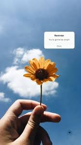P I N T E R E S T Sophiawaite Wallpaper Iphone Quotes Sunflower Iphone Wallpaper Sunflower Wallpaper