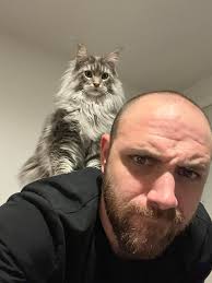 Best brushes for getting out mats? Bertie is a little diva 🤣 x