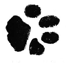 Maybe you would like to learn more about one of these? Kitty Paw Prints Tattoo Novocom Top
