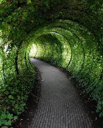 Botanical Tunnel Path Garden Photos Garden Planning English Cottage Garden