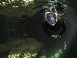 Snorkelmasker Kopen De Webwinkel Voor Duiken En Snorkelen