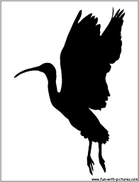 Scarlet ibis bird hand draw watercolor illustration. Birds Silhouettes Free Printables And Activities For Kids Bird Silhouette Silhouette Free Black Women Art