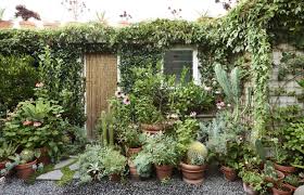 David Rosetzky And Sean Meilak The Design Files Australia S Most Popular Design Blog Plants Courtyard Plants Garden Design