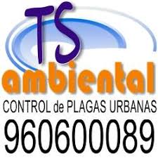 Control de Plagas en Valencia | TS Ambiental