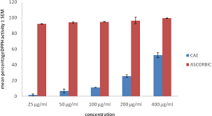 Image result for Cissus aralioides