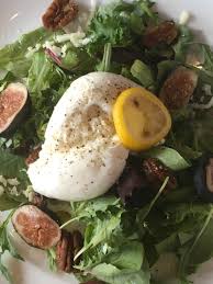 Image result for Burttia