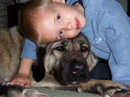 Anatolian Gallery for Anatolian-L