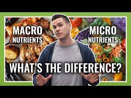 The classification of nutrients into macro and micronutrients has no relation to the size of the molecule. Macronutrients Vs Micronutrients Which Matters Most Barbend