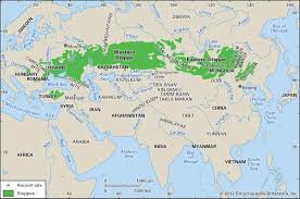 Migration of middle asian tribes ile ilgili görsel sonucu