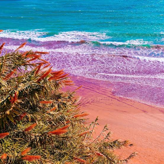 Page 11 | Vivid beach scenery Images - Free Download on Freepik