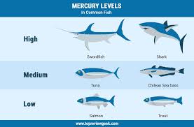 Mercury Levels In Common Fish Dangerous Fish Fish Fish Oil Benefits