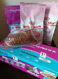 H'Attard Stray Animal Support Group