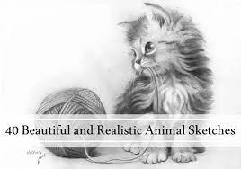 Drawing is a form of visual medium which can be done through graphite, color pencils, markers, ink pens and anything else one can think of. 40 Beautiful And Realistic Animal Sketches For Your Inspiration