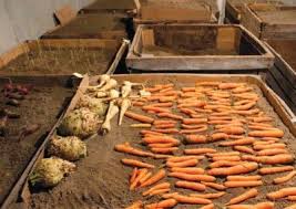 The 8 Fundamentals To Digging A Root Cellar Storing Vegetables Canned Food Storage Root Cellar