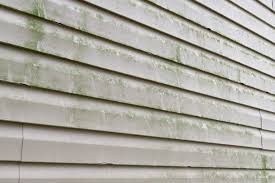 how to clean vinyl siding
