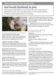 Pin By Dvm360 Com On Handouts For Veterinary Clients Animal Hospital Pet Dental Care Pet Dental Health
