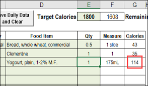 Excel Calorie Counter