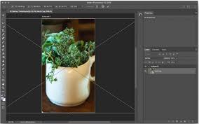 Move around the crop box to fit the part of the photo you want to see in the profile photo section. How To Resize Pictures For Instagram With All Methods