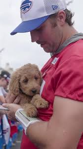 Josh Allen puppy content. 🥹 #puppy #sportstiktok #dog #joshallen | TikTok