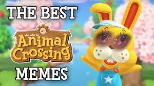 49 animal crossing memes ranked in order of popularity and relevancy. The Best Animal Crossing Memes Youtube