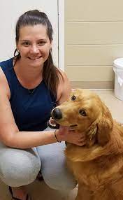 Individuals may relinquish their new pups to a golden retriever puppy rescue for many reasons: Golden Rescue Update June 2019 Humane Society For Greater Nashua New Hampshire