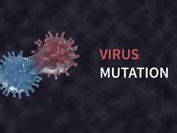 Comes with the territory like showers with a mutation on one of the virus' protein spikes made the strain currently circulating in europe and the. Mutasi Virus Corona D614g Muncul Lebih Berbahayakah