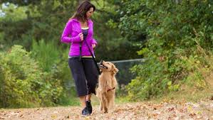 Maybe you would like to learn more about one of these? How To Teach Your Dog To Walk On A Loose Leash
