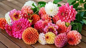 Lowe's Giving Away Free Flowers for Mother's Day in Miami