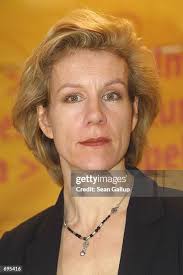 151 Sean Stevenson Stock Photos, High-Res Pictures, and Images