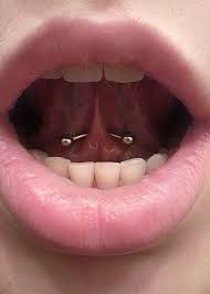 Pin By Polina On Fotografiya Piercings For Girls Mouth Piercings Frenulum Piercing