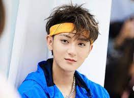 Chinese actor and singer, huang zitao is better known by the stage name tao. Z Tao Bio Wiki Net Worth Dating Girlfriend Age Height Family