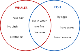 Example Of How You Do A Venn Diagrams Get Rid Of Wiring