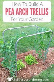 How To Build A Pea Trellis Arch Pea Trellis Arch Trellis Diy Garden Types