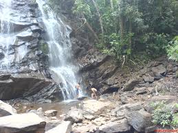 The road to the falls passes through kigga village which is famous for rishyashringa temple. Sirimane Falls Mapio Net
