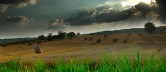 See 2 authoritative translations of está parcialmente nublado in english with example sentences and audio pronunciations. Parcialmente Soleado O Parcialmente Nublado New Deal