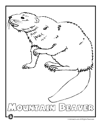 Beaver pictures are fun when you can see the woods and the scenery. Beaver Pictures For Kids Coloring Home