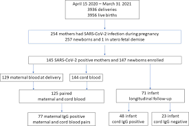 Clinical characteristics of coronavirus disease 2019 in china. Passive And Active Immunity In Infants Born To Mothers With Sars Cov 2 Infection During Pregnancy Prospective Cohort Study Bmj Open
