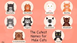 Indigo is the name of a character in the ntozake shange novel sassafrass, cypress & indigo , and was used for his daughter by lou diamond phillips. 48 Cute Names For Male Cats