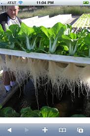 Aquaponics Floating Raft Foam Sheet Aquaponic