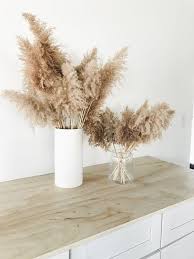 Dekoration Fuhlen Sie Sich Wie In Der Pampa Interior Chic Neutral Decoration Inspiration En 2020 Deco Entree Maison Idee Deco Entree Deco Maison Interieur